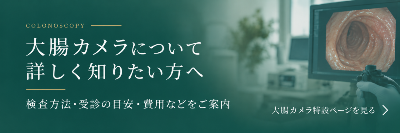 大腸カメラ検査の特設ページ